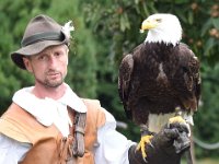 Weisskopfseeadler 126